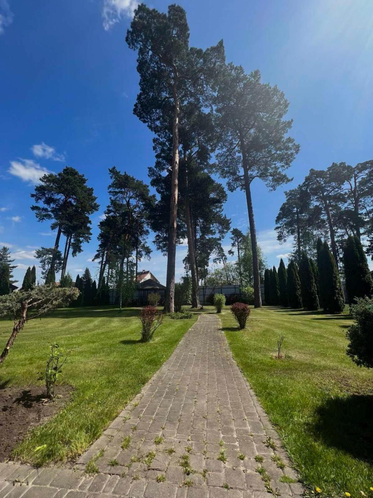 Borovik Hotel Novosilki Exterior foto